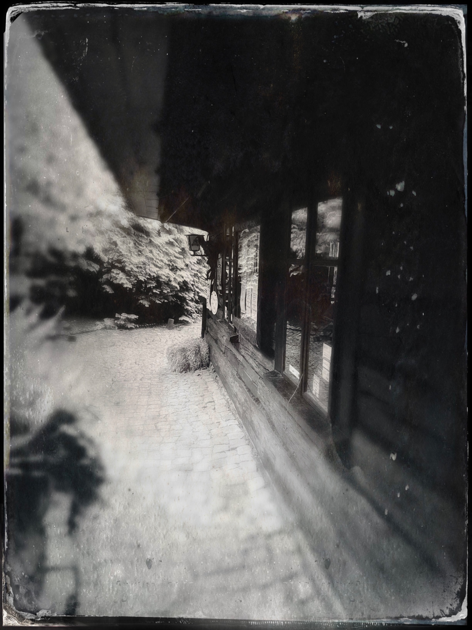 TinType 800721850.290893